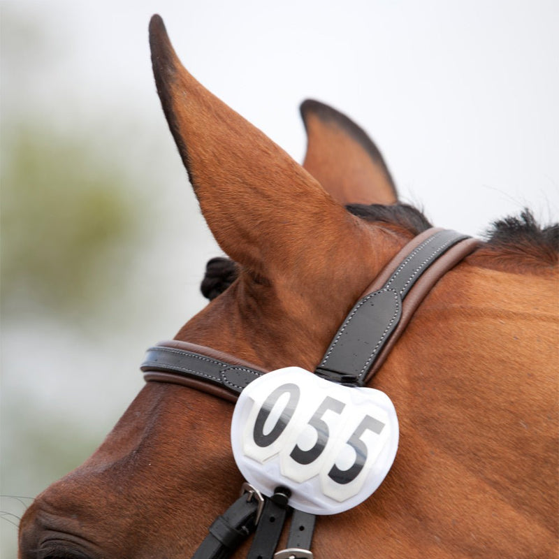 Hansbo Sport Nummerlapp - Equestrian Club Sweden - Hansbo Sport