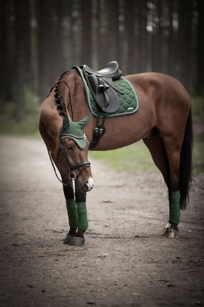 Lami-Cell Schabrak Venus Hopp - Equestrian Club Sweden - Lami-Cell