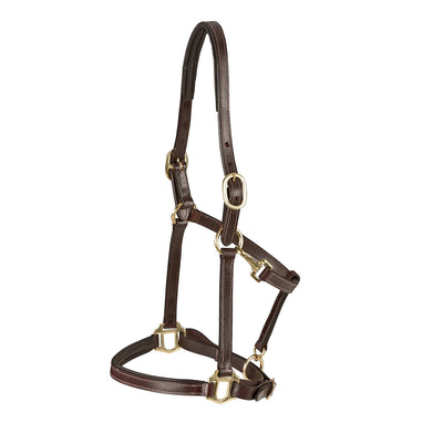 Lippo Fölgrimma Brun - Equestrian Club Sweden - Lippo